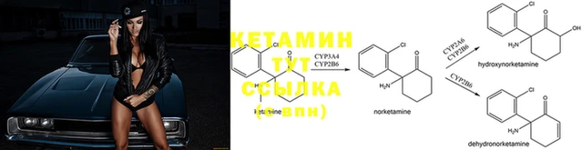 соль курить ск Надым