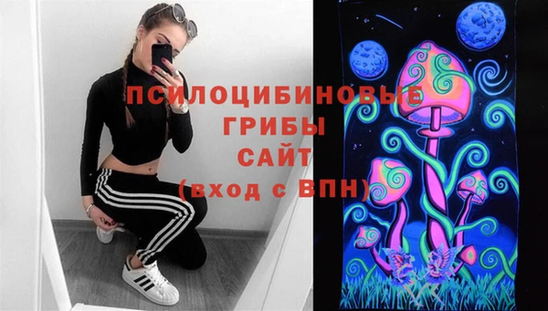 гидра Бежецк
