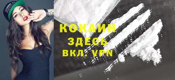 шишки Болхов