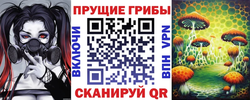 Псилоцибиновые грибы GOLDEN TEACHER Ангарск